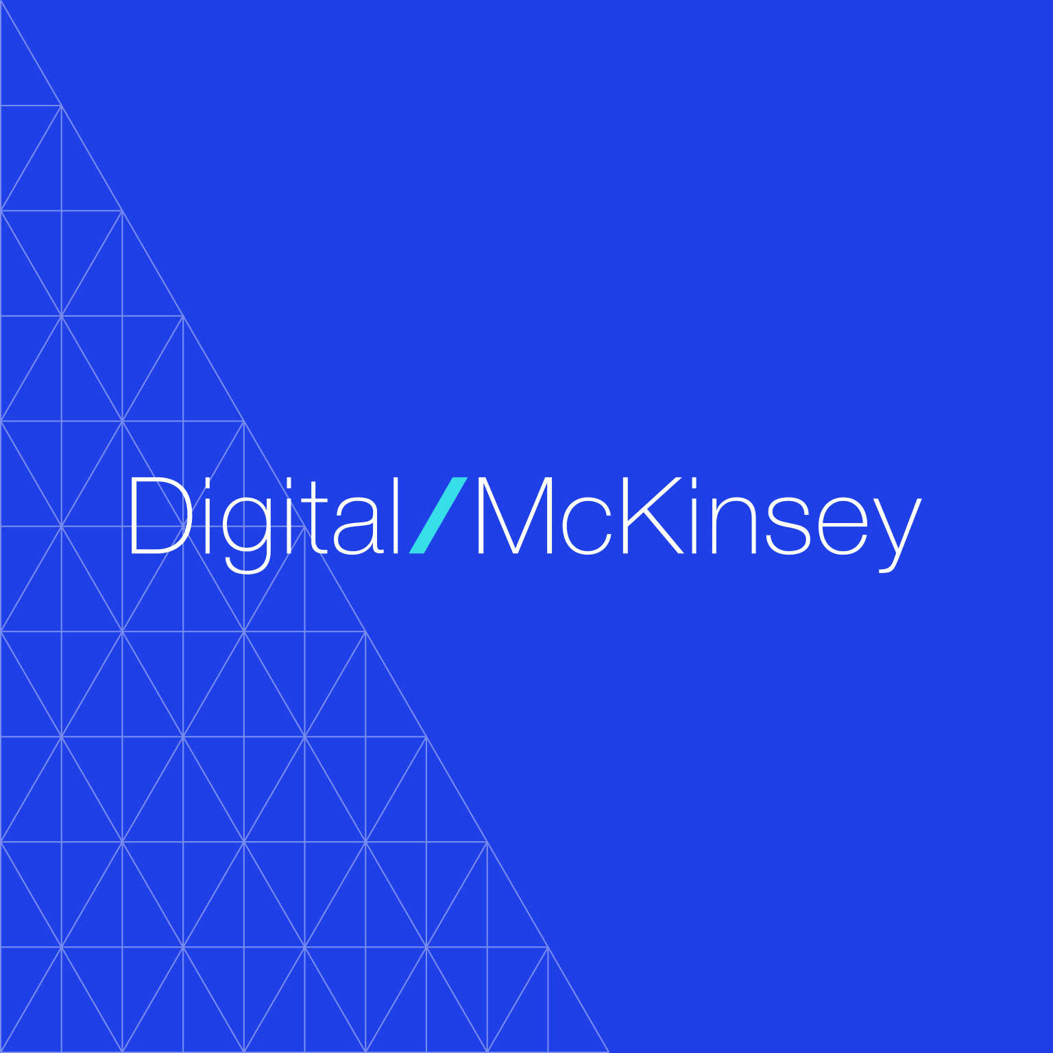 McKinsey Digital Report
